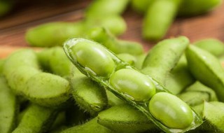 蒸毛豆一般需要多少长时间（蒸毛豆一般需要多少长时间才能熟）