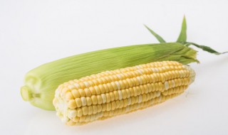 集成灶烤玉米一般需要多少长时间 集成灶烤玉米一般需要多少长时间能熟