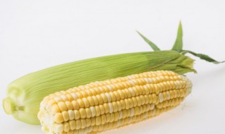 甜玉米一般需要多少长时间（甜玉米一般需要多少长时间蒸熟）