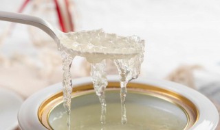 雪燕煮多久才熟 雪燕煮多久才熟透