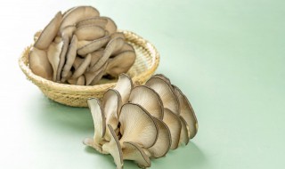 平菇要煮多久才熟（平菇要煮多久才熟 知乎）