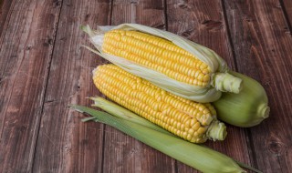 冰冻玉米煮多久才熟 冰冻玉米煮多久才熟透