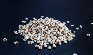 薏米要煮多久才熟 薏米要煮多久才熟透