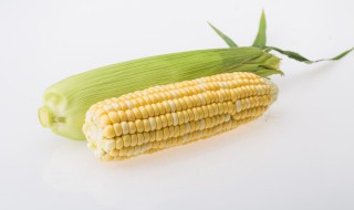 糯玉米一般需要蒸多少长时间 糯玉米要蒸多久才能蒸熟