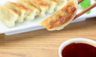 包水饺用猪的什么地方的肉最好（猪什么地方的肉适合包饺子）
