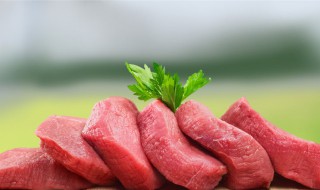 做饺子用什么地方的肉最好（饺子用哪里的肉最好）