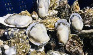 海蛎子什么季节的最肥最好吃 什么时候的海蛎子最鲜最肥