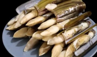 蛏子什么季节最好吃 什么时候蛏子最好吃