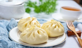 做猪肉包子用什么地方的肉最好（做猪肉包子用什么地方的肉最好吃）