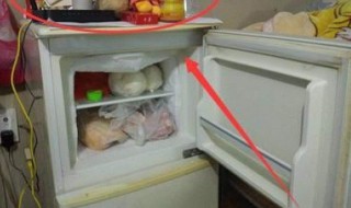黄金能放冰箱吗 黄金可以放冰箱冷藏室吗