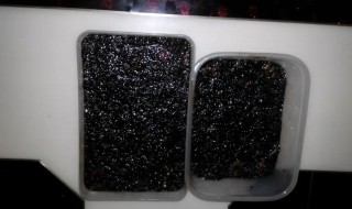 阿胶要放冰箱吗 阿胶要放冰箱吗多久