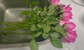 怎么醒花 怎么醒花最简单的方法