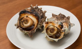 海螺能放冰箱冷冻吗（海螺能放冰箱冷冻吗多久）