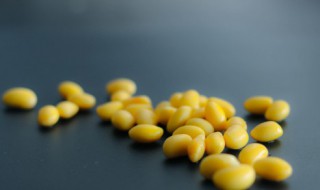 黄豆泡多久才能用高压锅煮 泡好的黄豆用高压锅煮多长时间