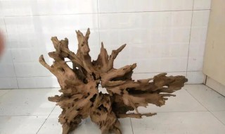 沉木煮完泡多久才能用那 沉木不用煮用水泡得多长时间