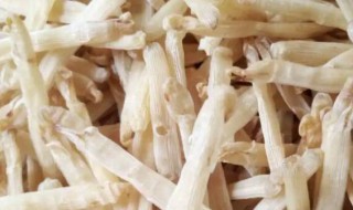 清洗干沙虫的方法（清洗干沙虫的方法视频）